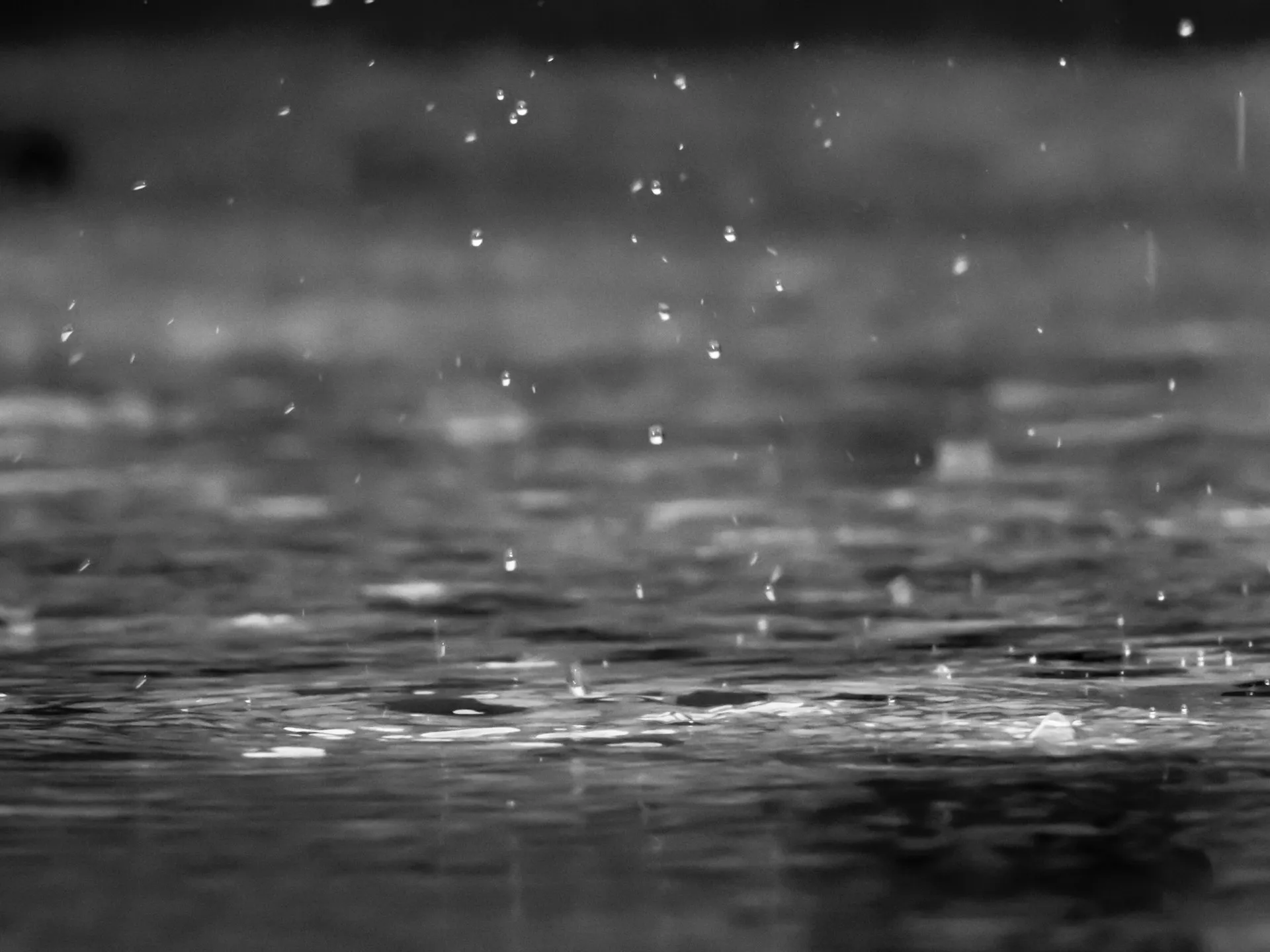 Jardin verdoyant avec récupération d'eau